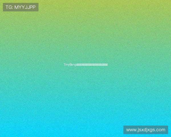 TinyBang游戏全流程关卡解谜技巧与隐藏要素详尽攻略指南